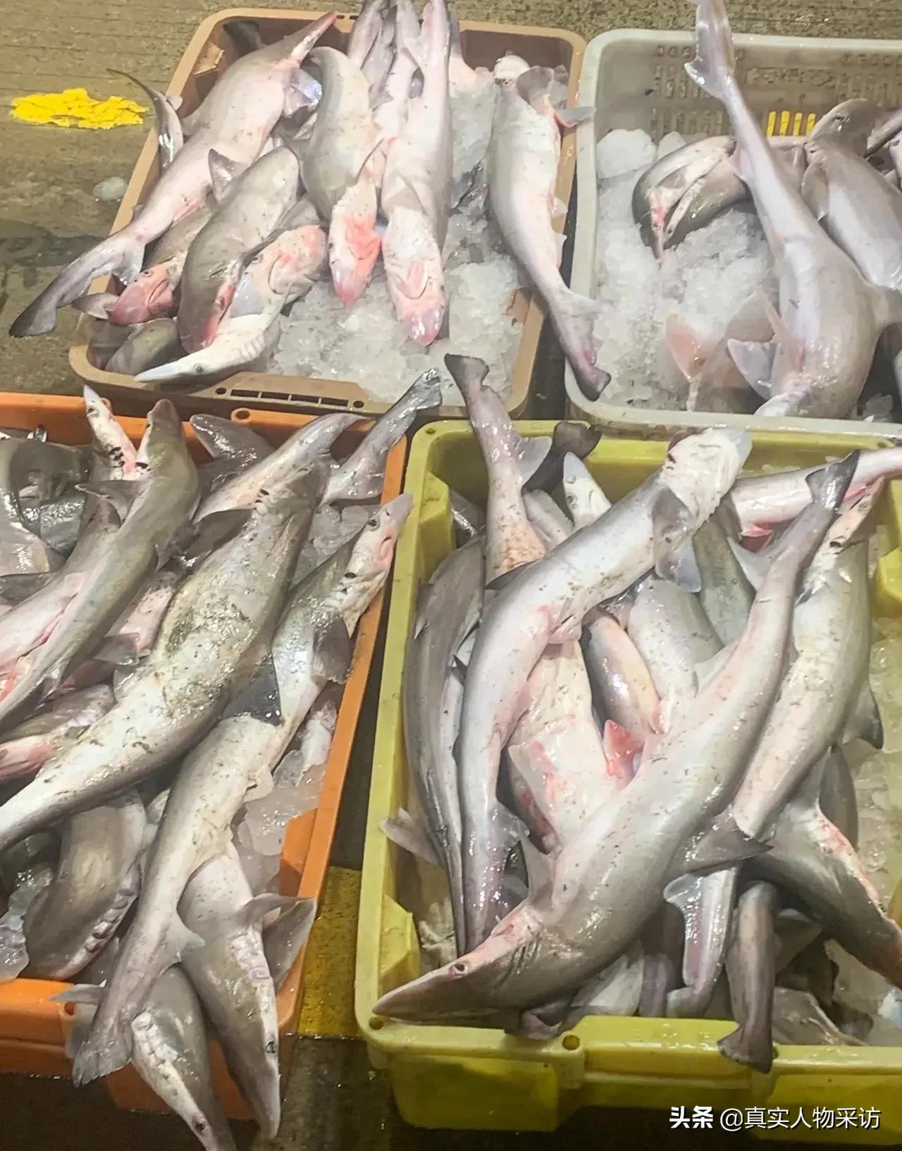 在东北怎么月入过万,在东北如何月入过万