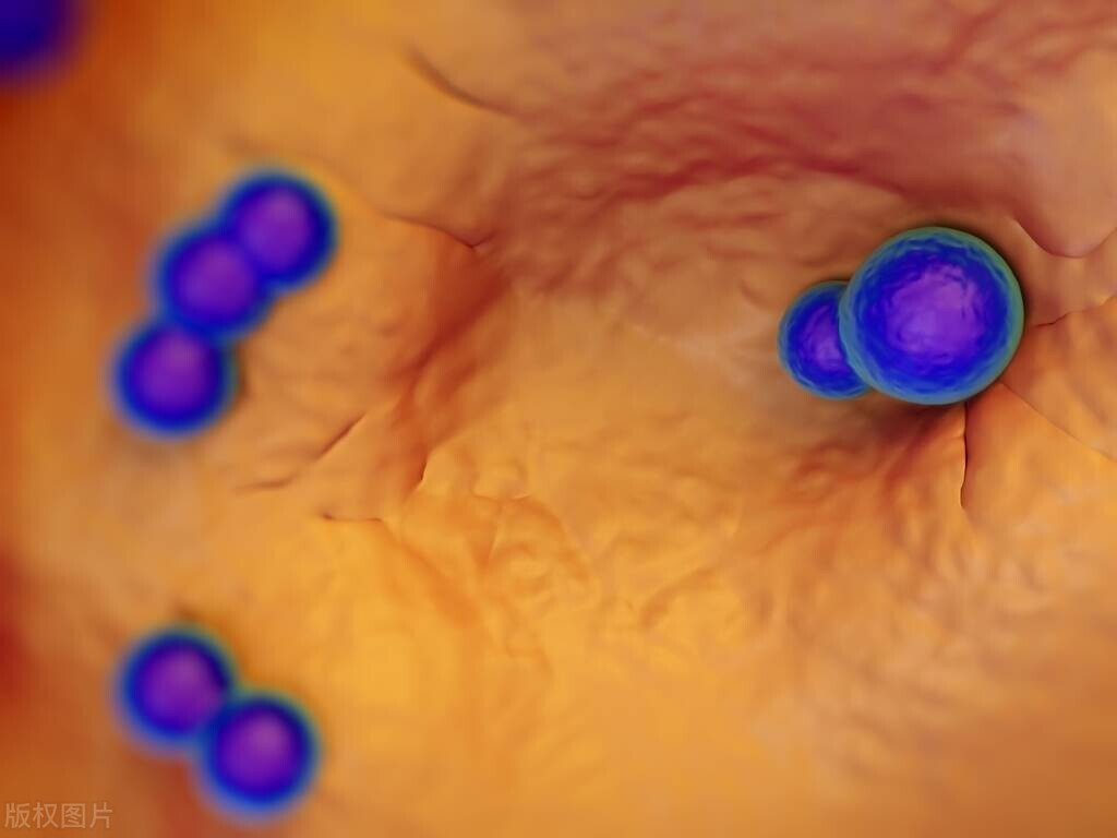 脖子上的小肉球可以自己拽掉吗,颈部的小肉球是怎么产生的