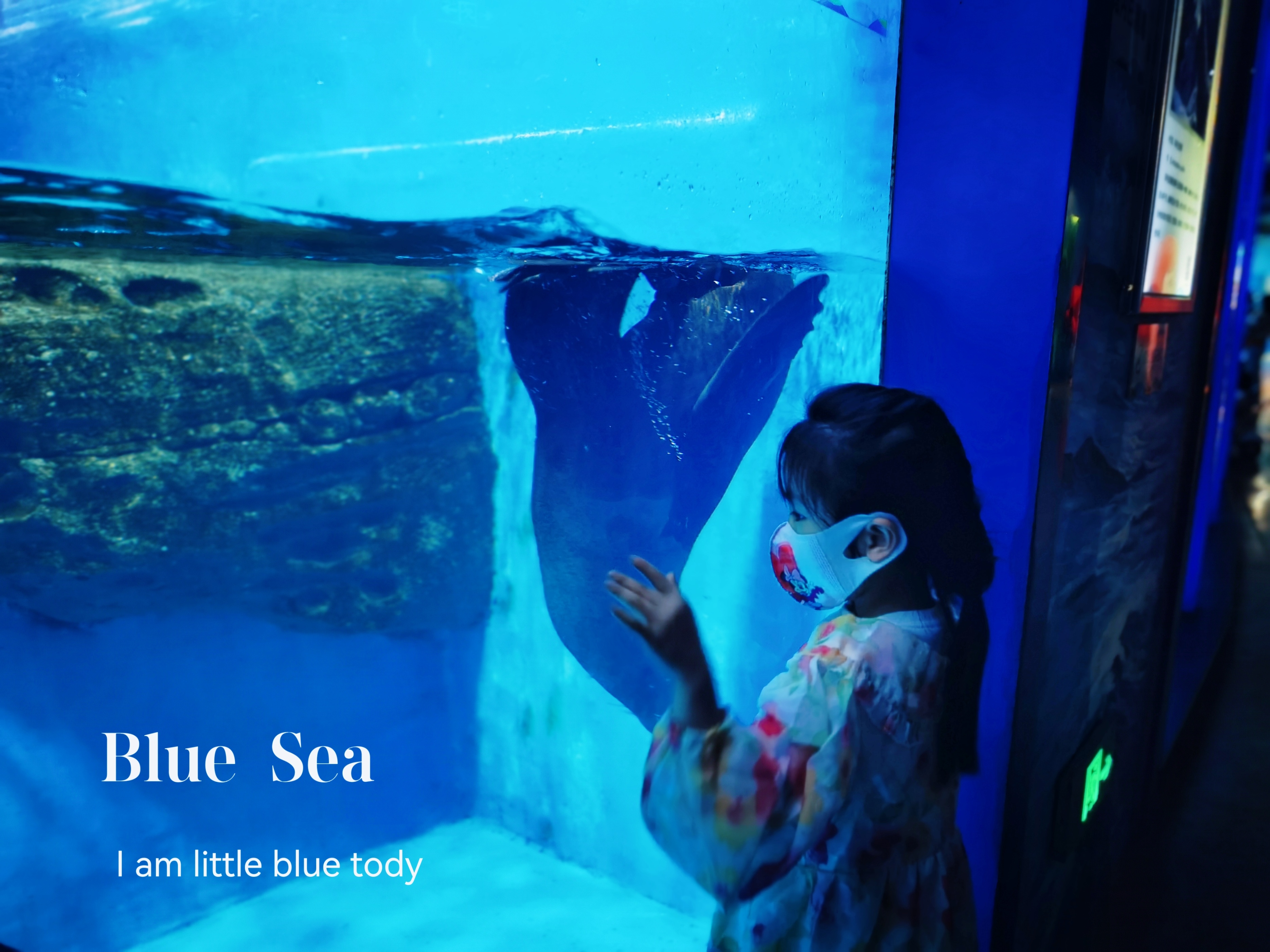 寿光极地海洋游记,五一寿光海洋极地世界