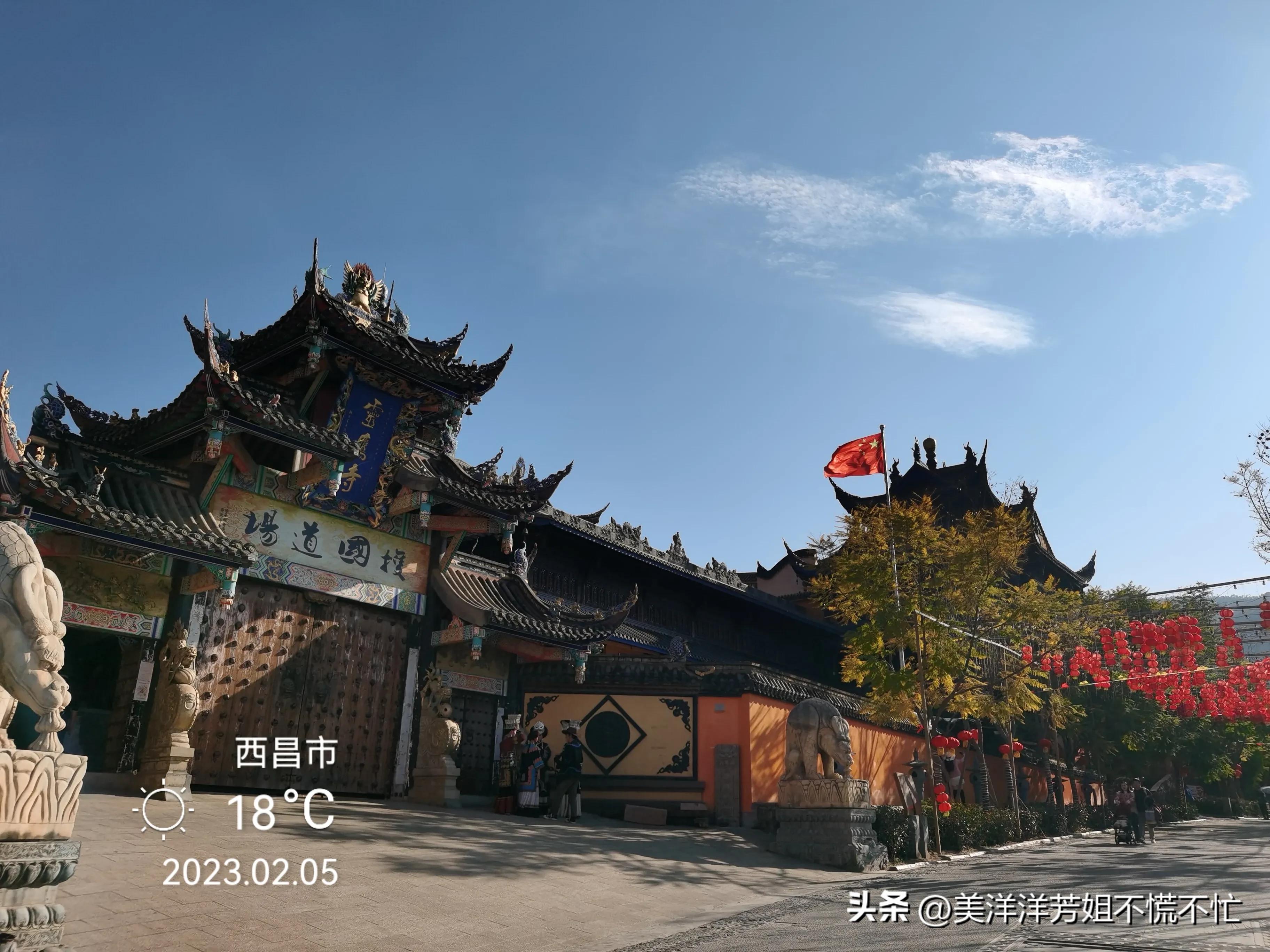 西昌邛海什么时候有海鸥,冬季去西昌邛海喂海鸥