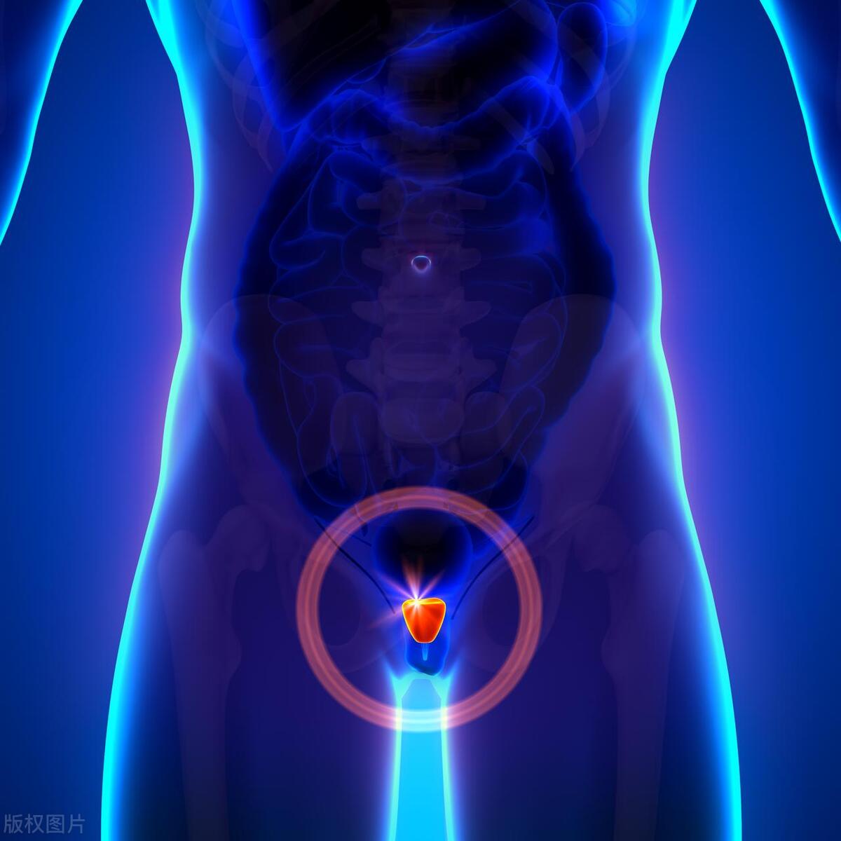 男人生殖系统被踢疼怎么办,男性为什么被踢会痛