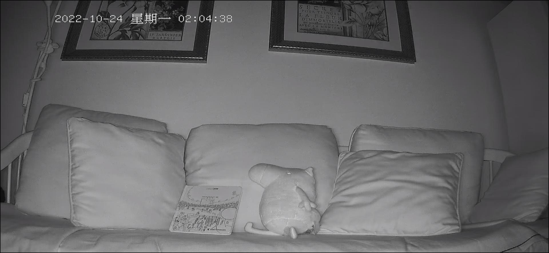 最新家用摄像头功能介绍,家用摄像头安全性排名