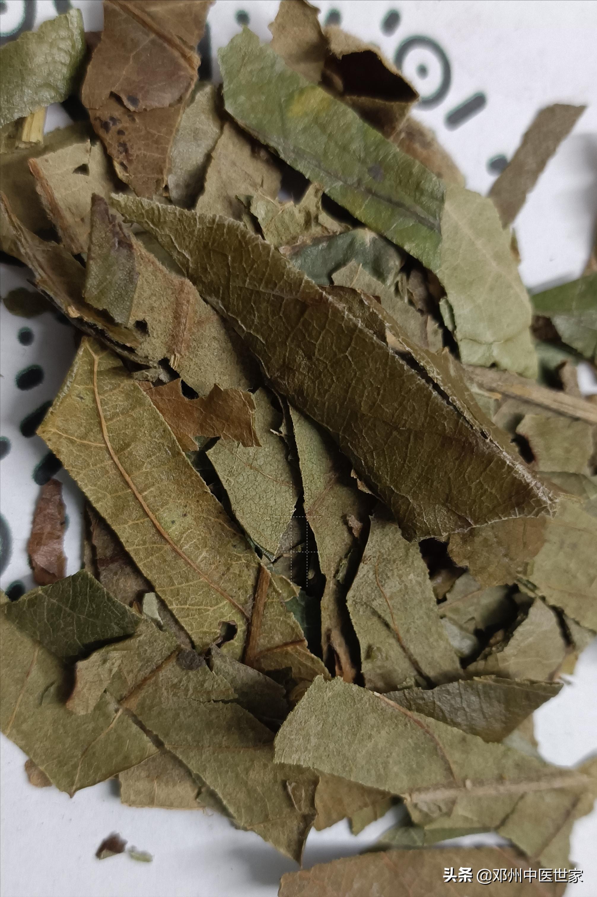 枇杷叶背面的毛要洗干净吗,请问枇杷叶子有什么用