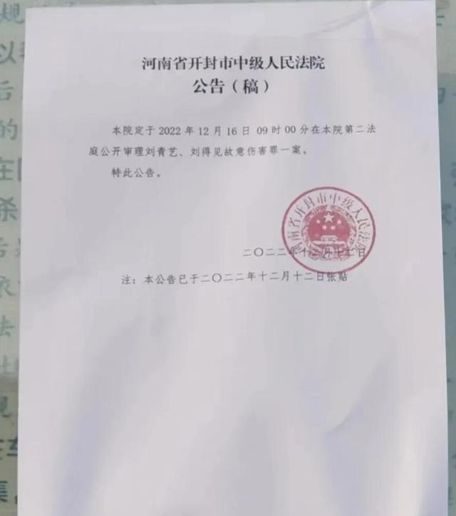 叶婷父亲案公开审理网友可以看么,叶婷父亲案件的处理结果