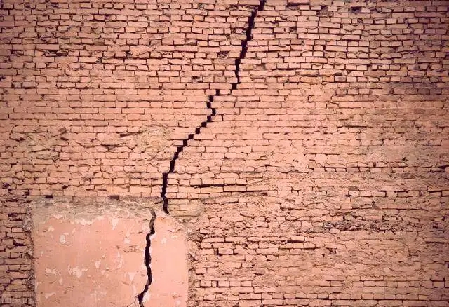 为什么许多人害怕壁虎？难道它真的有毒？