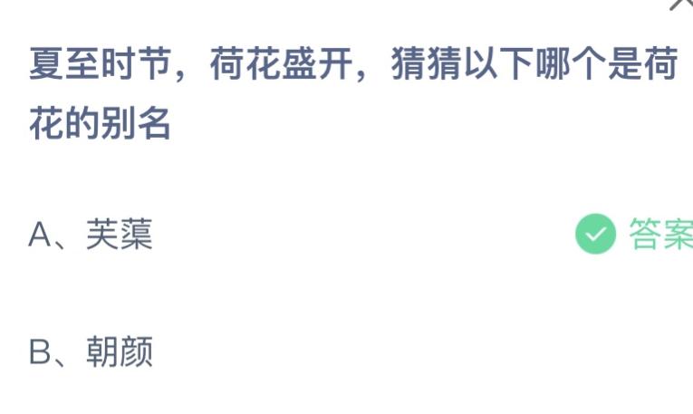 以下哪个是荷花的别名蚂蚁庄园6月21日答案