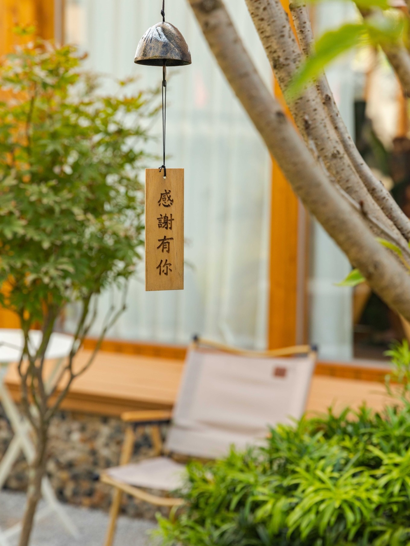 七门网红打卡地,带你走进又一网红打卡地