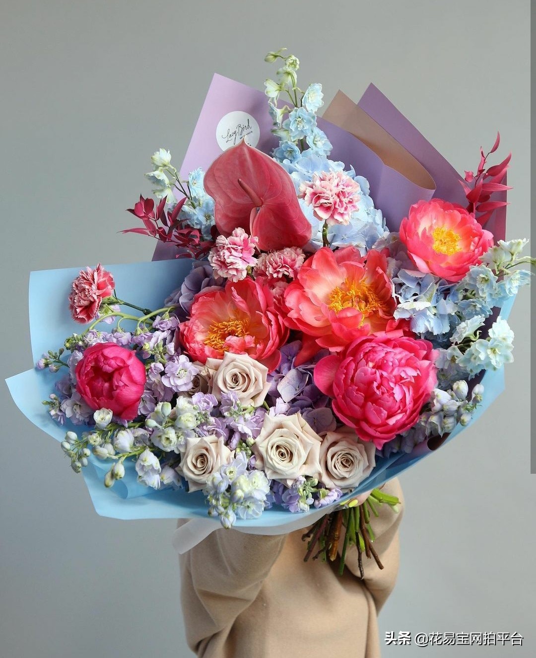 情人节快到了,教你花语速记小技巧