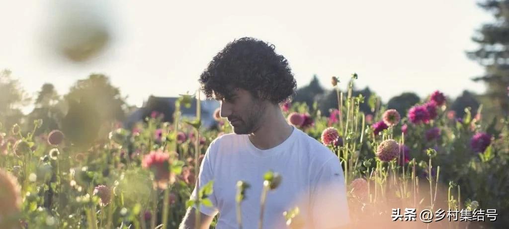 美国夏日梦幻农场：以大丽花为主题的鲜花园艺农场，如梦如画！