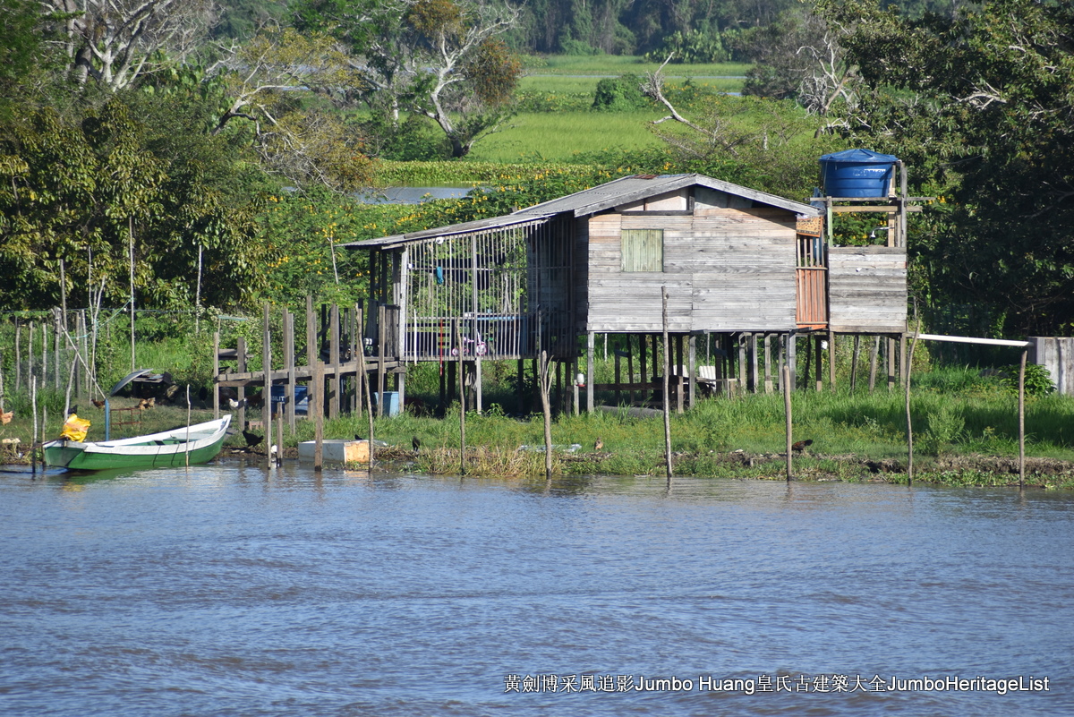 第5047回：消失的亚马逊文明，流失的林下聚居地