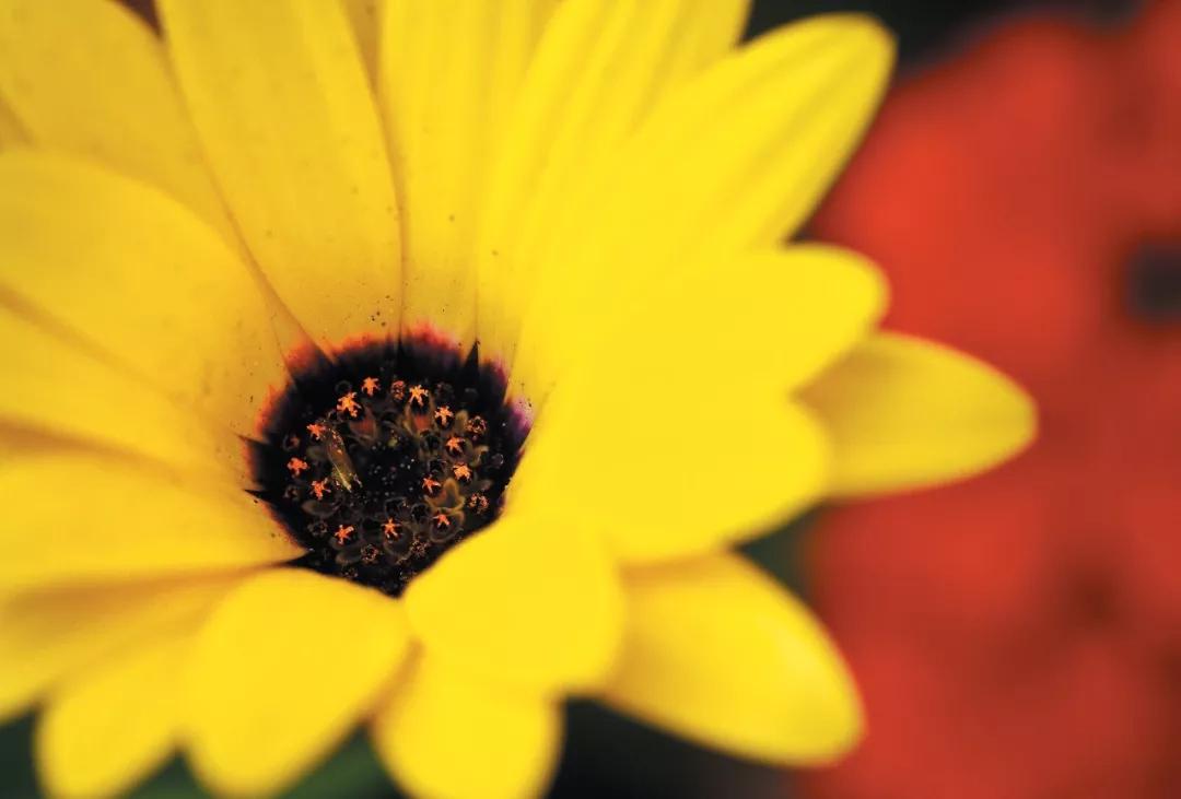 8一张好照片的六个要素,一张好照片最基本元素是什么