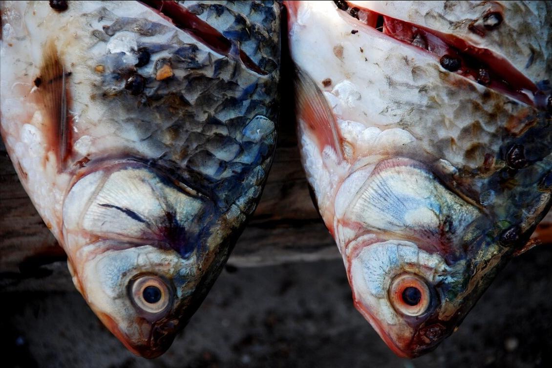 腌腊鱼时怎么腌好吃,腌腊鱼怎么腌最好吃