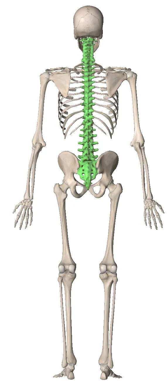 八项注意,远离腰腿痛