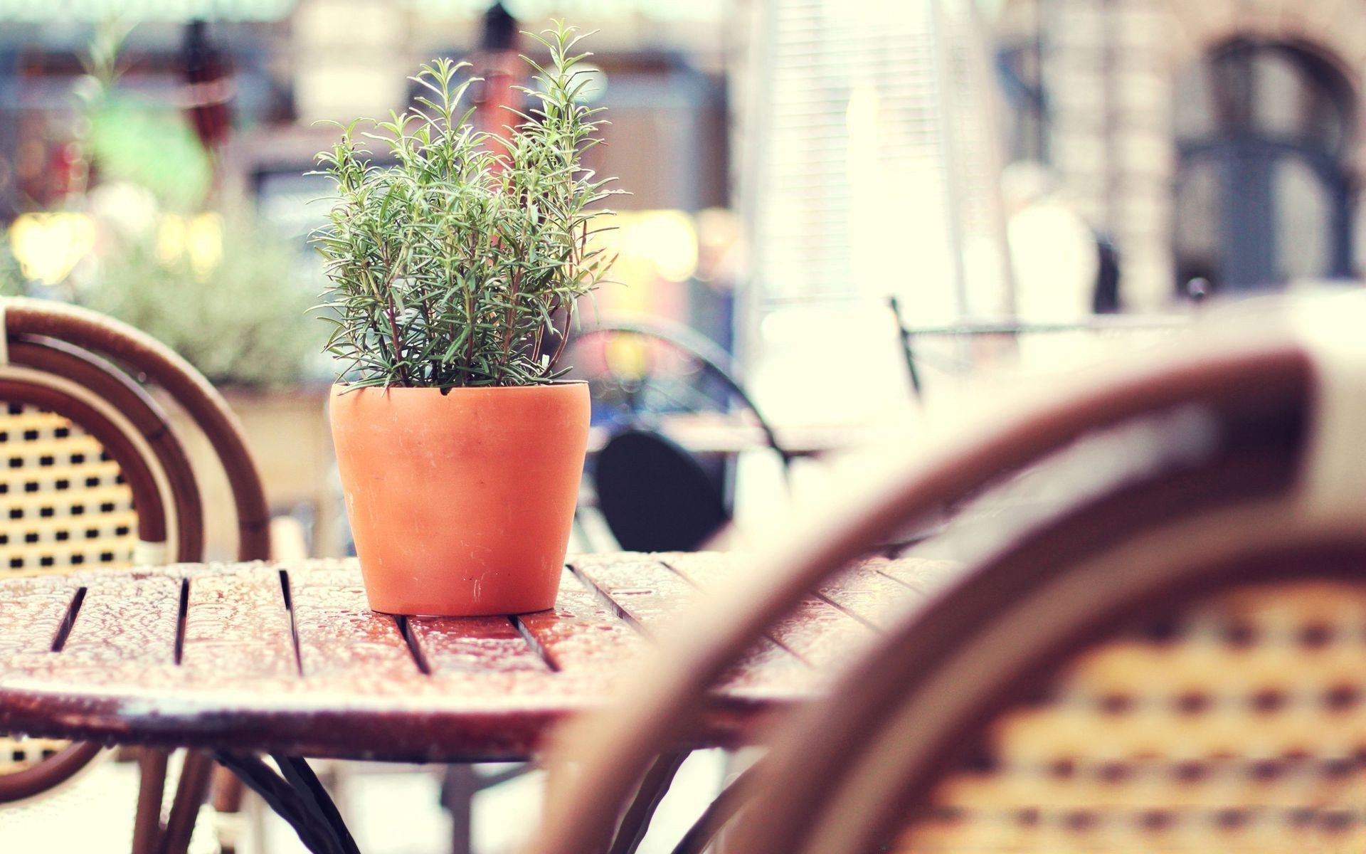 hmv唱片店香港还有吗,hmv香港旗舰店