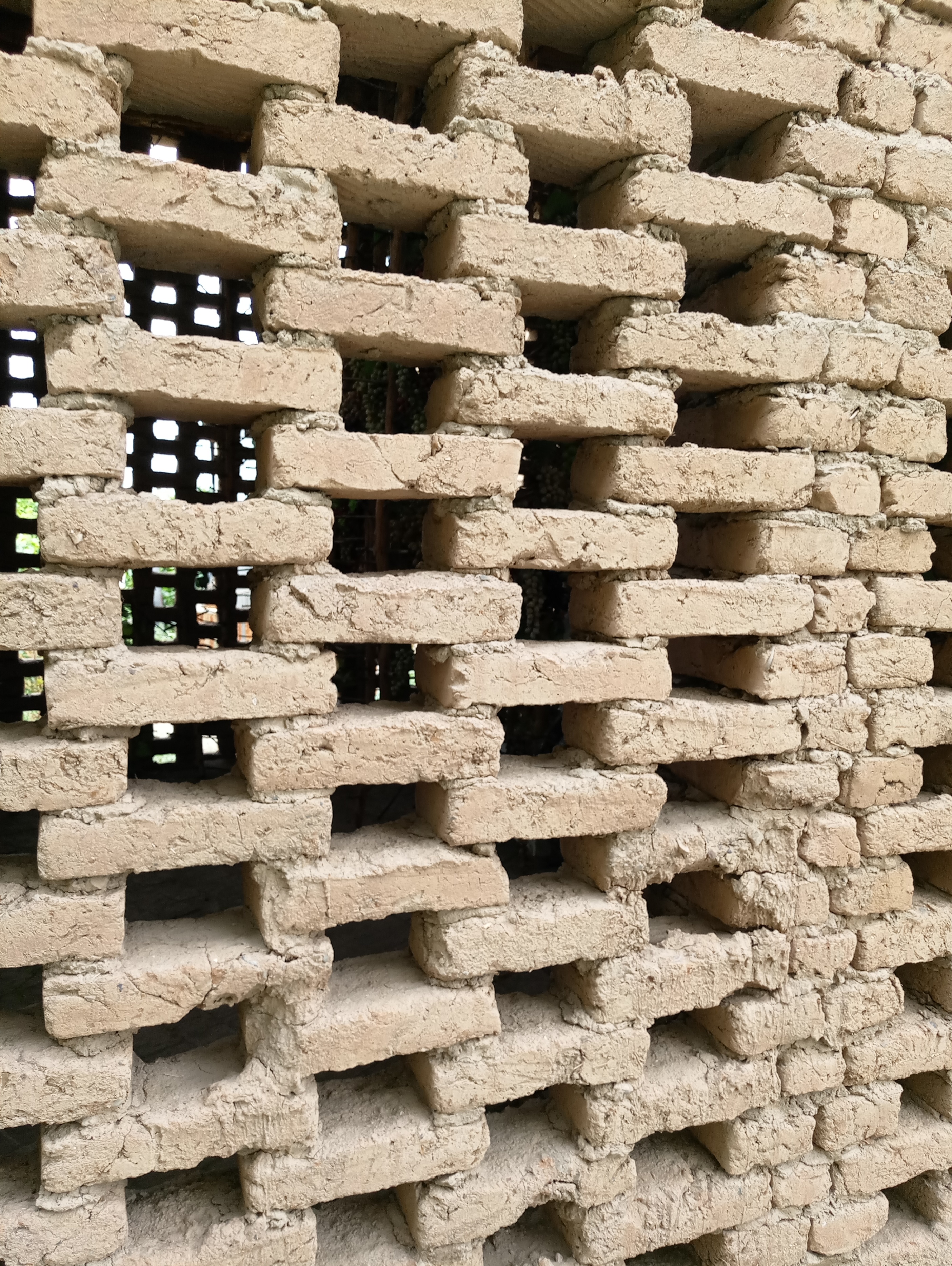 *疆新**干果里的王者，忍着牙疼也要炫半斤