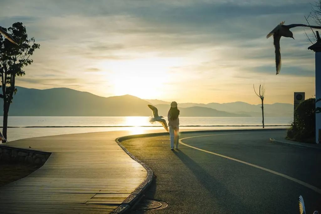 大理洱海攻略必玩景点,洱海怎么玩比较合适