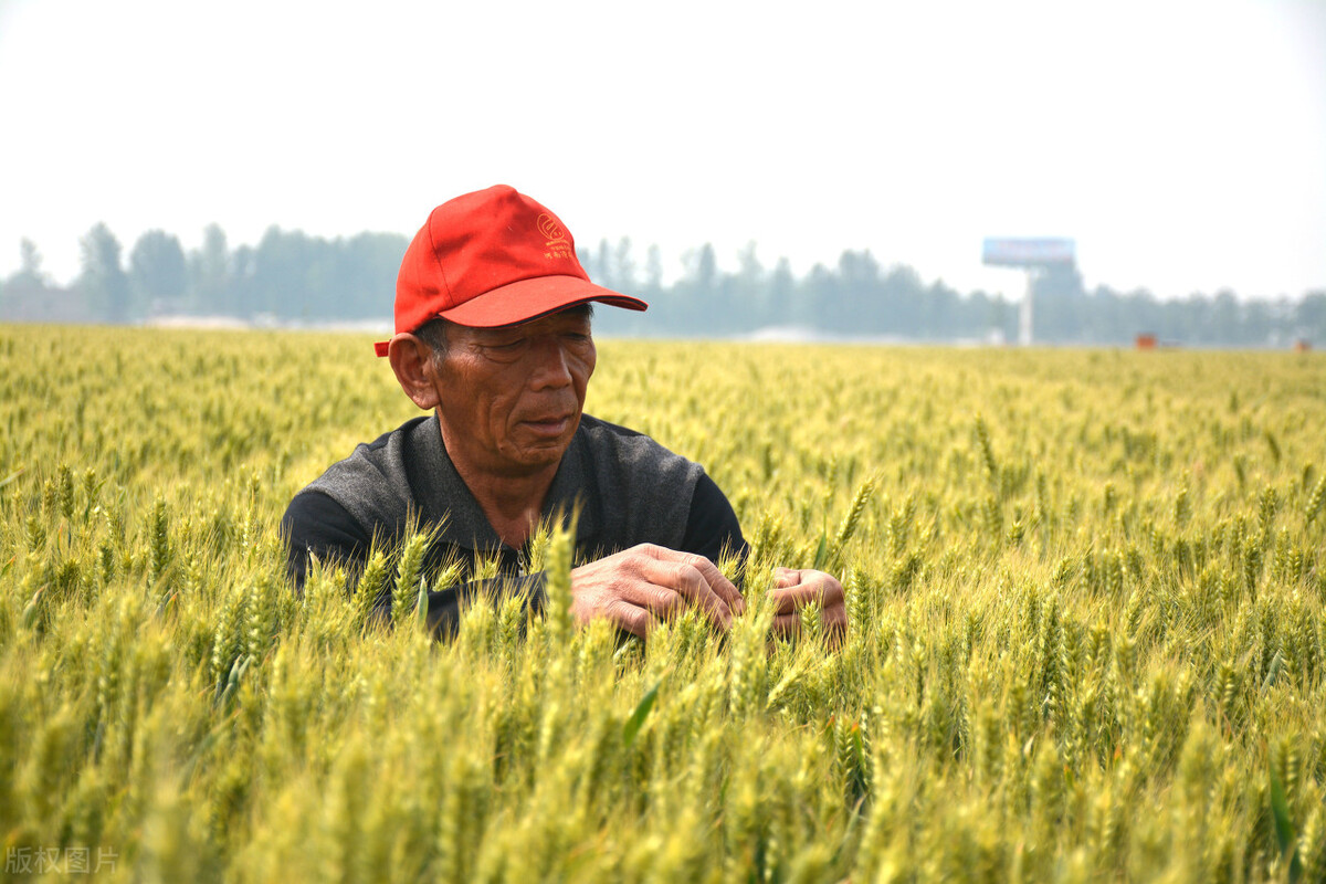 2020闰四月十九日子好吗,今日闰四月二十六有什么讲究