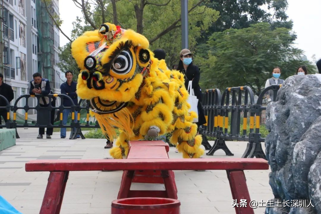 瑞狮和醒狮有什么区别,醒狮和瑞狮有区别吗