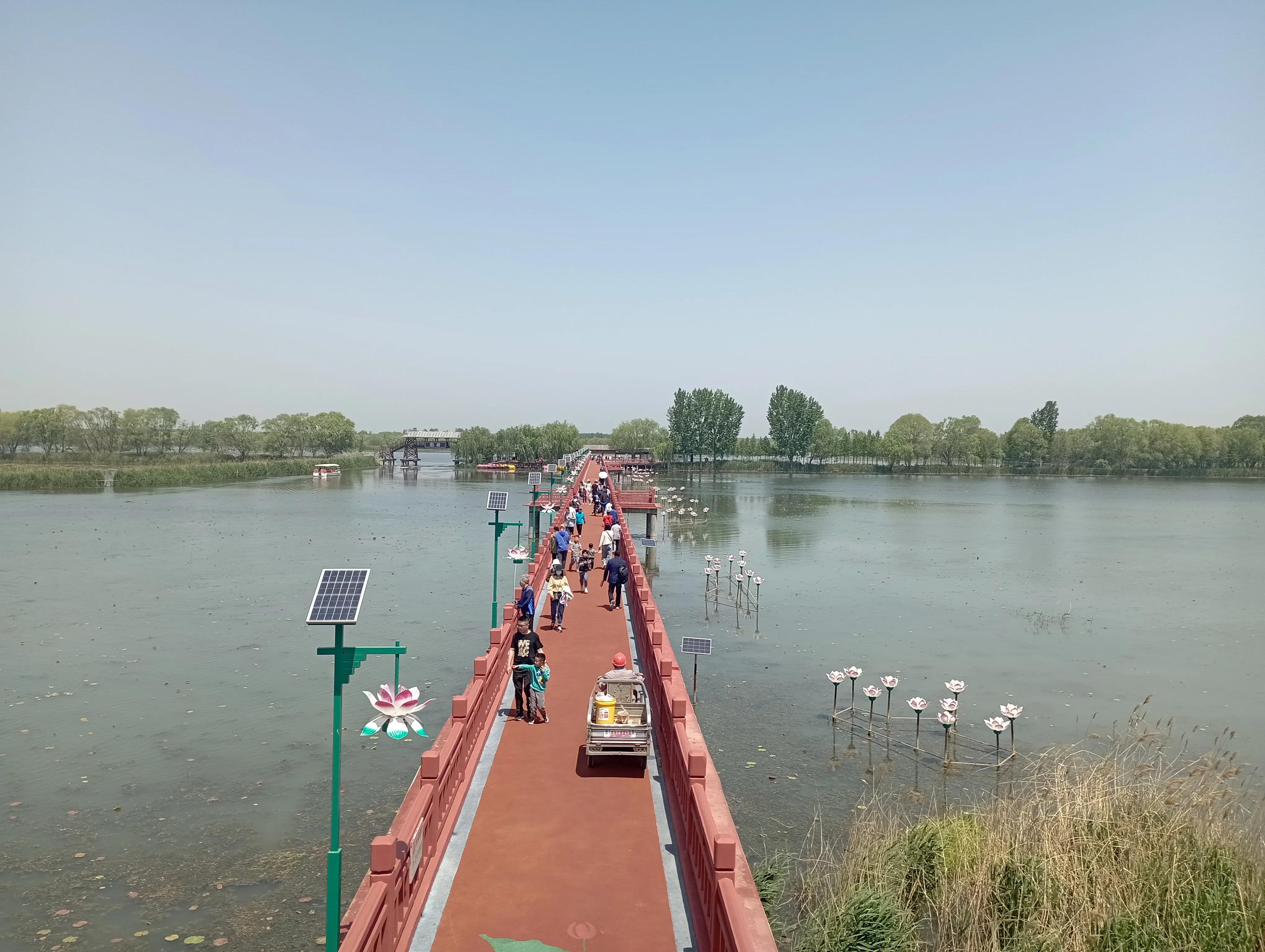 【宋致国作品】微山岛有三大宝