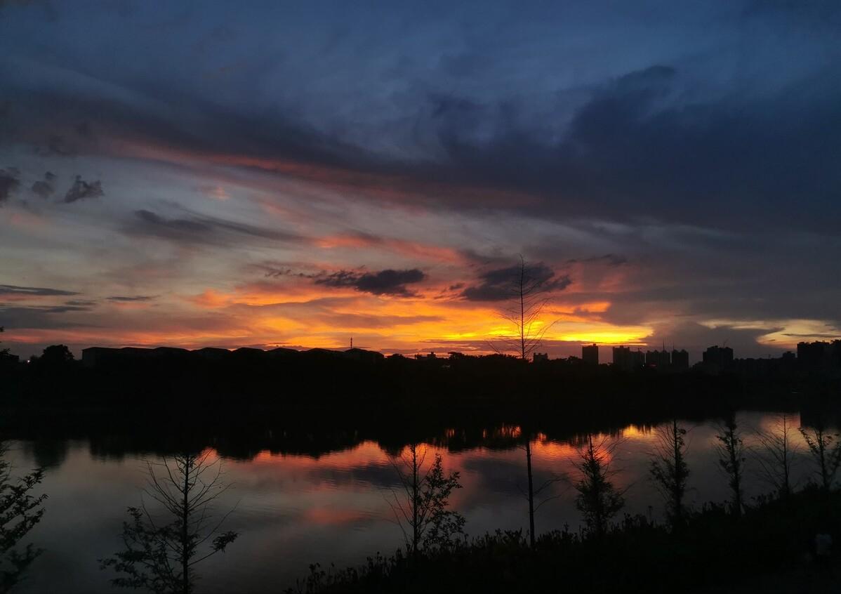 鉴赏史铁生的散文,鉴赏史铁生散文集