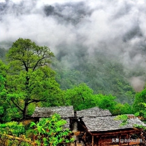 为什么说四季都适合去云南玩,去云南哪个季节去最好玩