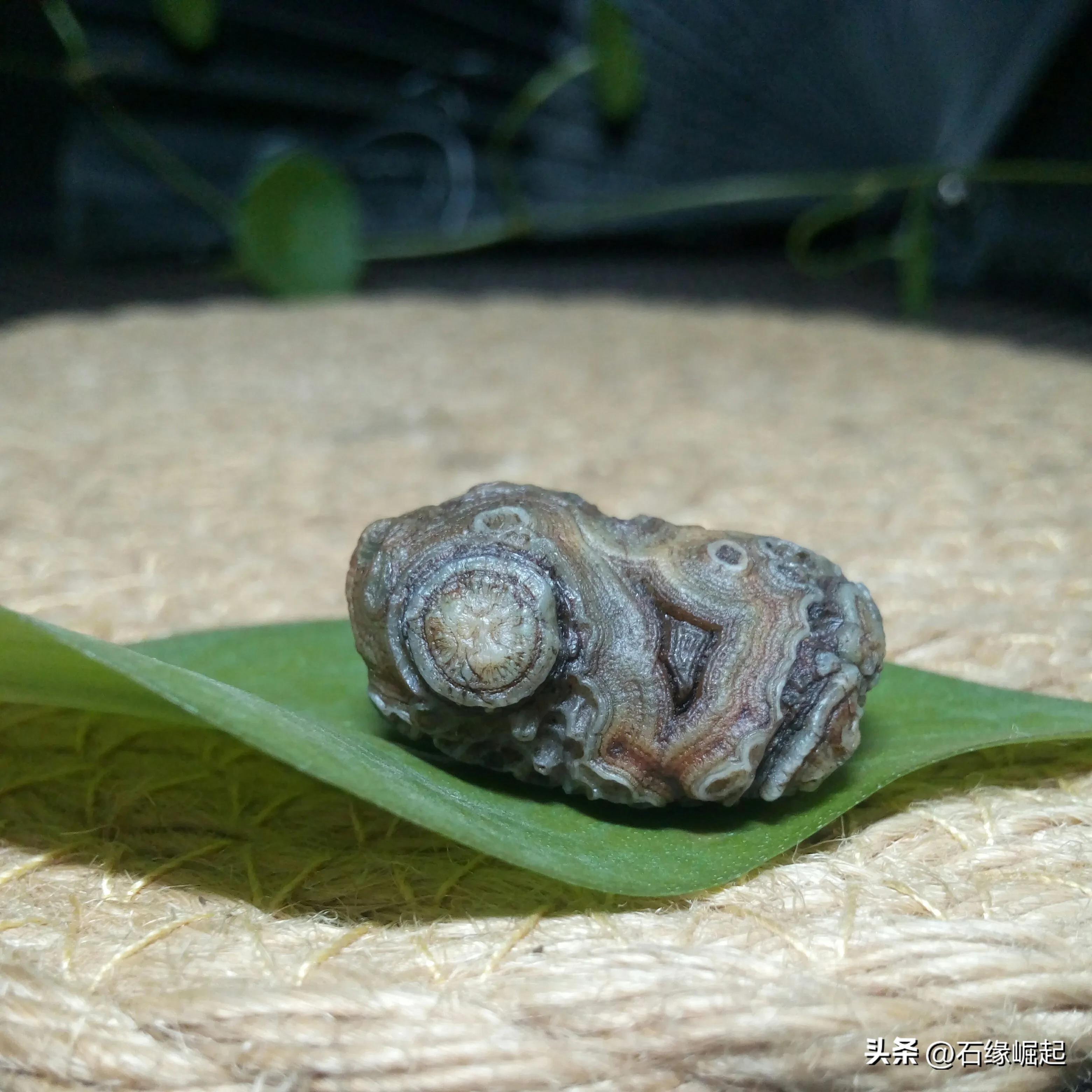 奇石价格一般是多少,奇石拍卖骗局