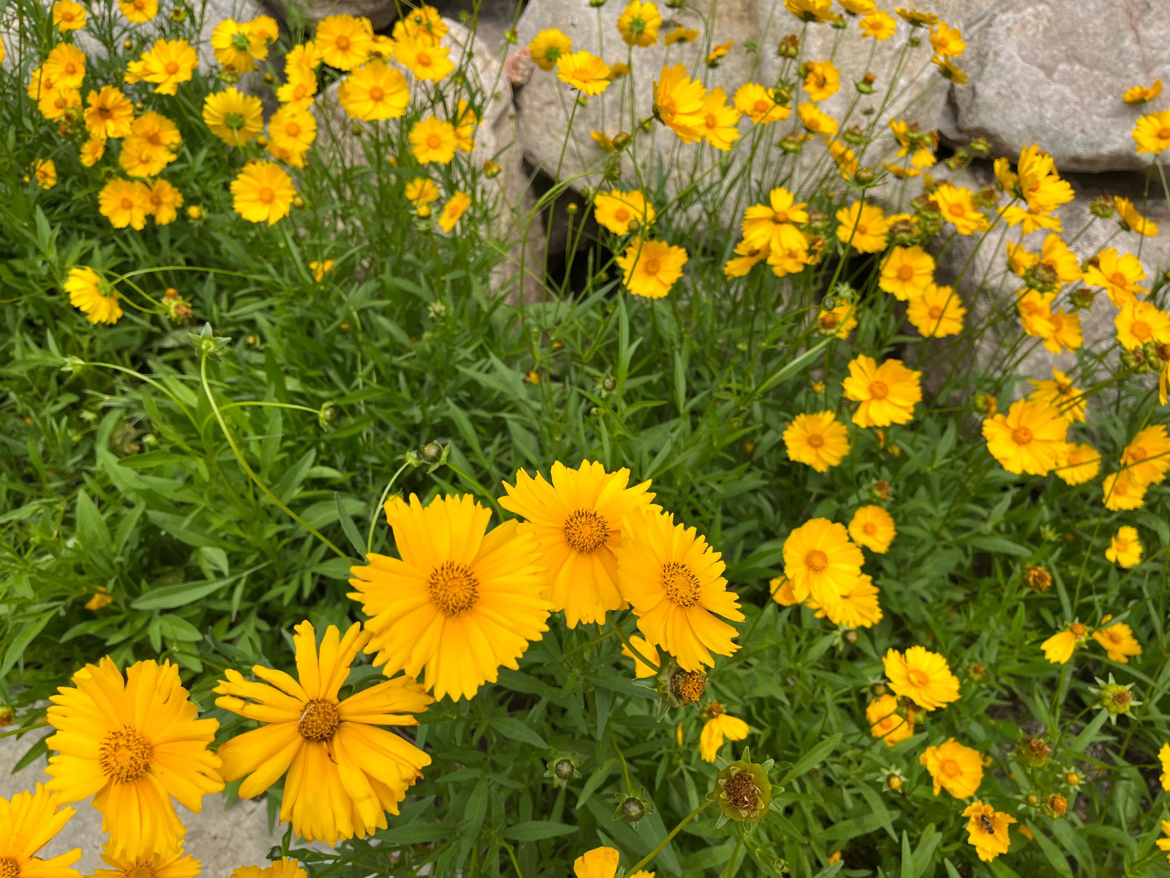 鍙伓閭诲眳,鍙伓閭诲眳缁撳眬