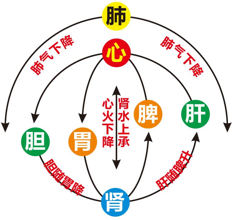 上热下寒的经方治法,辨证治疗各种类型的上热下寒