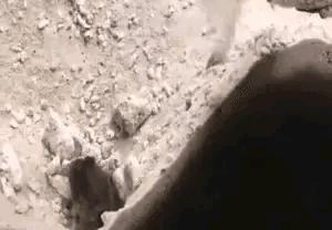 女朋友的房间里找到的工具,她说是手电筒,真以为我不懂吗?