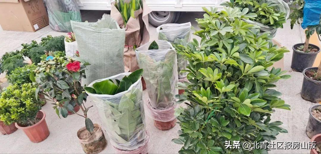 房山离我最近的大集最新时间表,房山大兴已恢复的大集