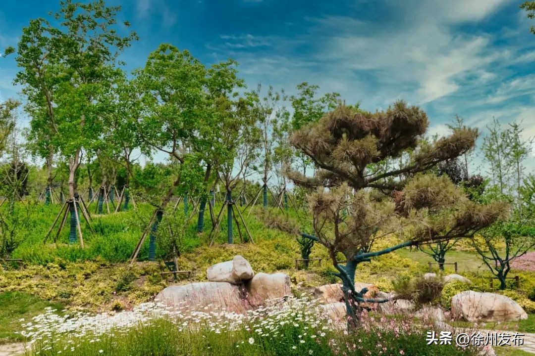 非凡十年|推开窗户见花园，走出家门逛公园