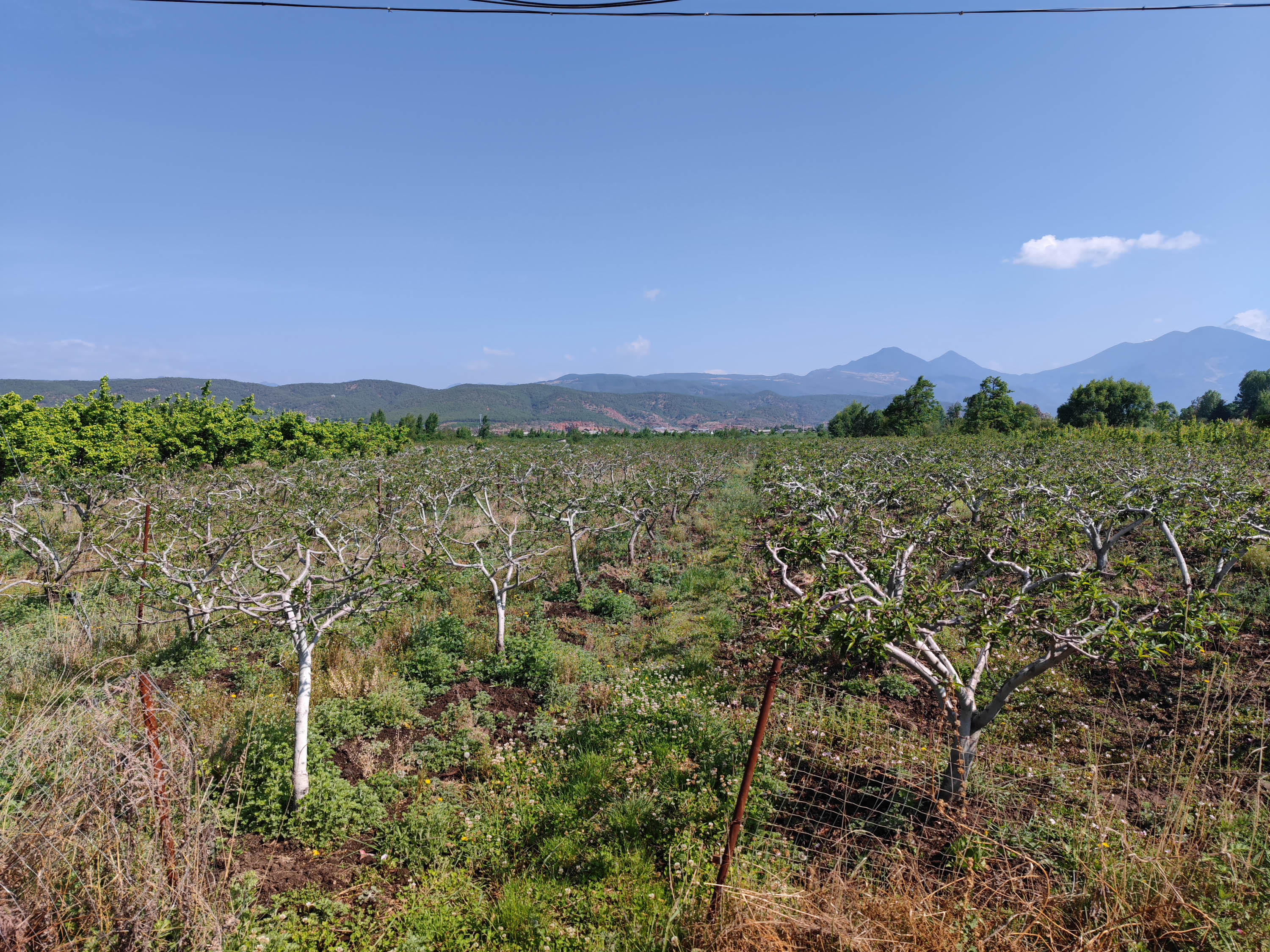 去云南跟团一日游攻略图片大全集,云南六日游跟团路线攻略大全