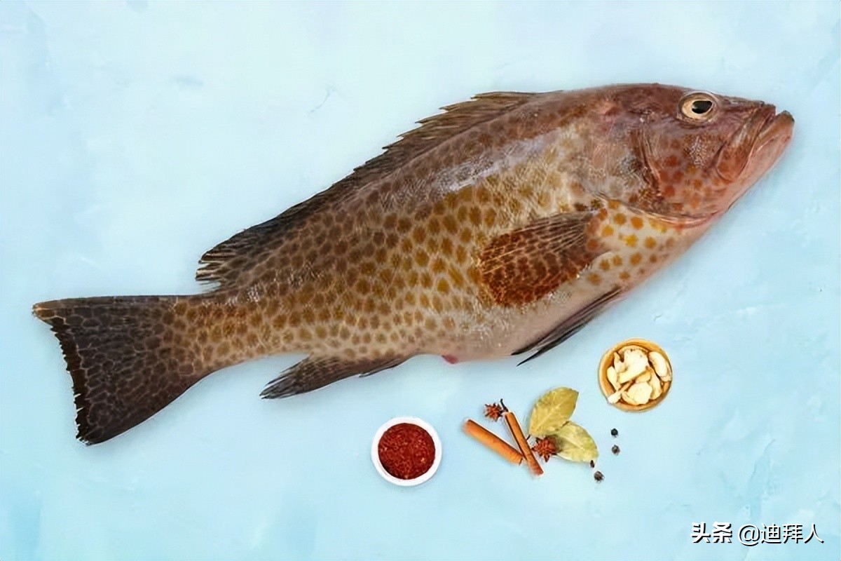 杩嫓瓒呭競娴烽矞,杩嫓瓒呭競娴烽奔