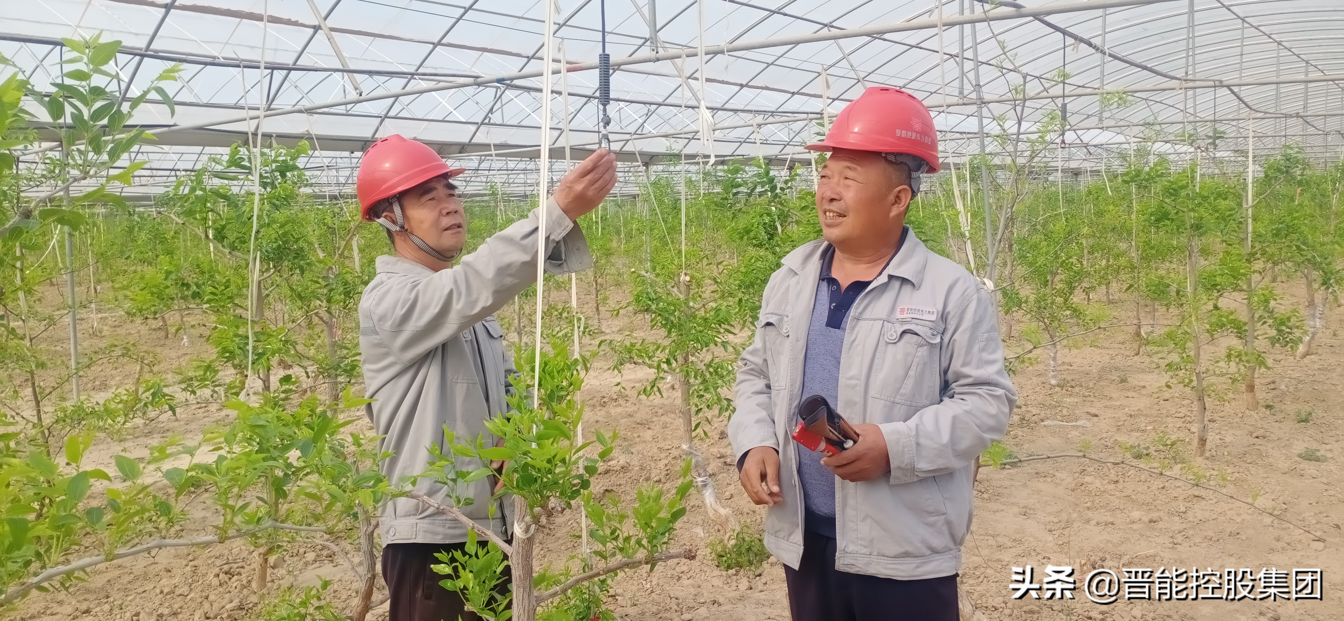 推动巩固脱贫攻坚成果与乡村振兴,脱贫攻坚与乡村振兴应知应会100问