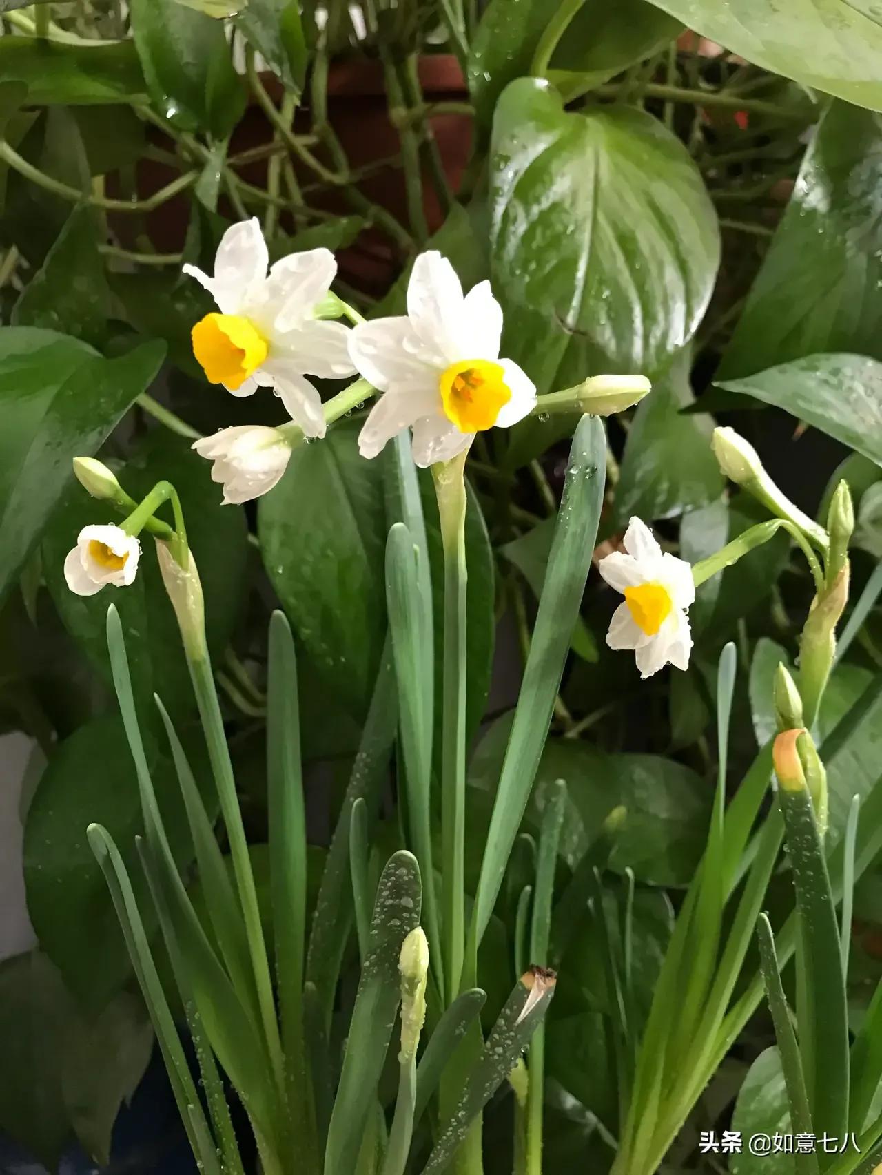 一死刑犯的父亲之懊悔——人生可否重新来过？