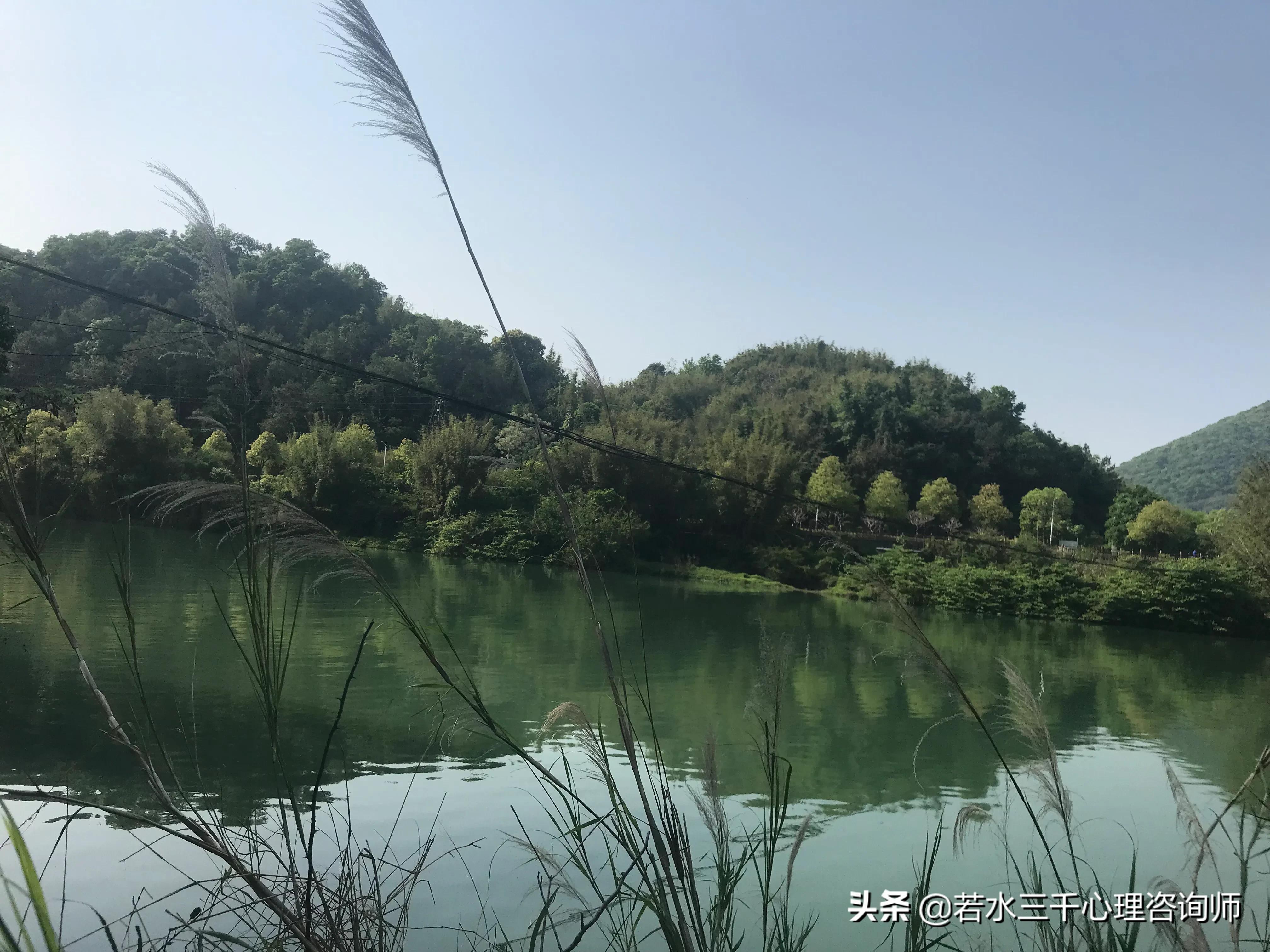 咨询手记：抑郁症会遗传吗，你要的答案在这里