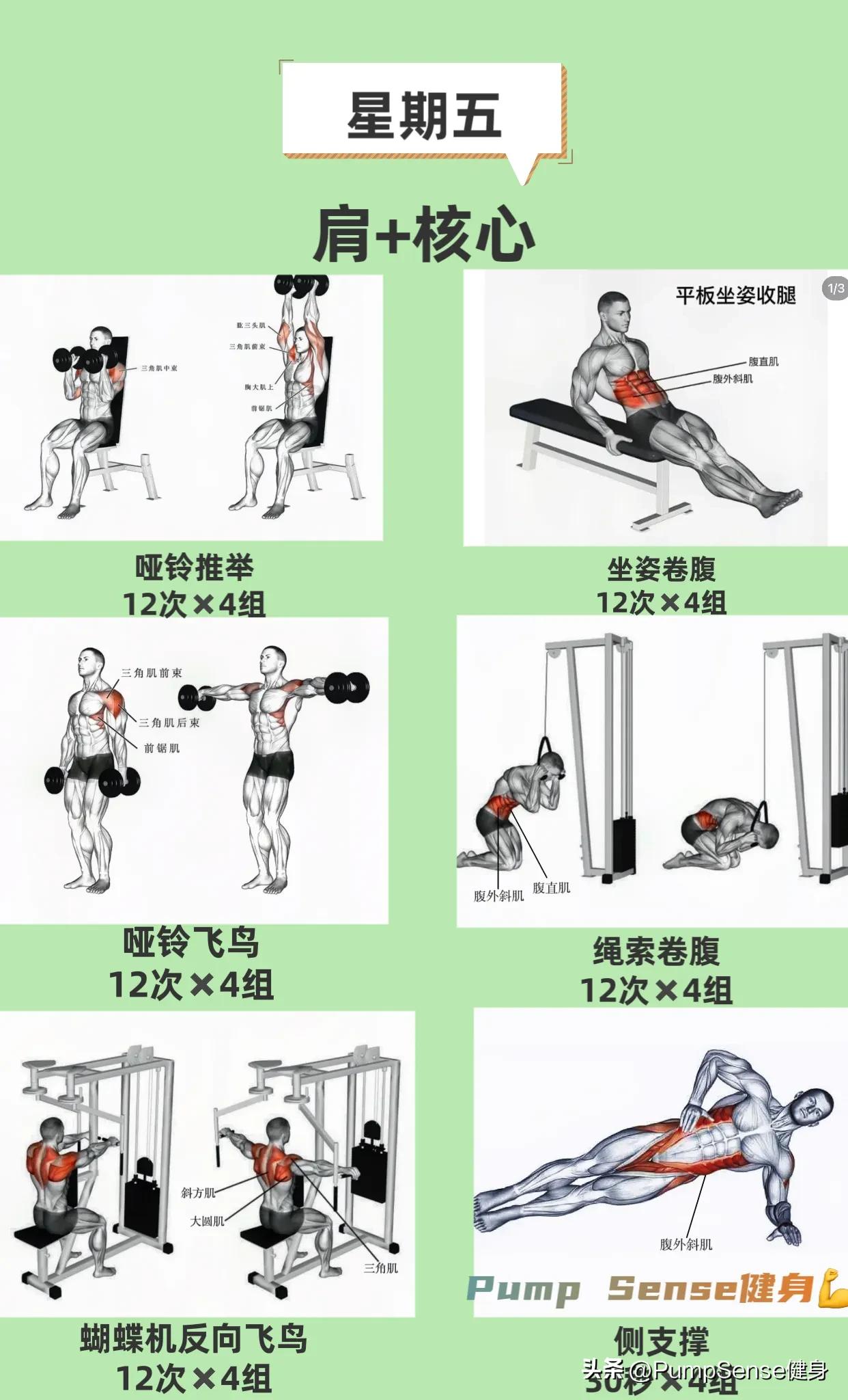 新手健身计划app,新手健身计划怎么写