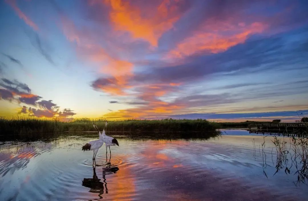 湿地可以开发什么旅游项目,黑龙江旅游必去十大湿地排名