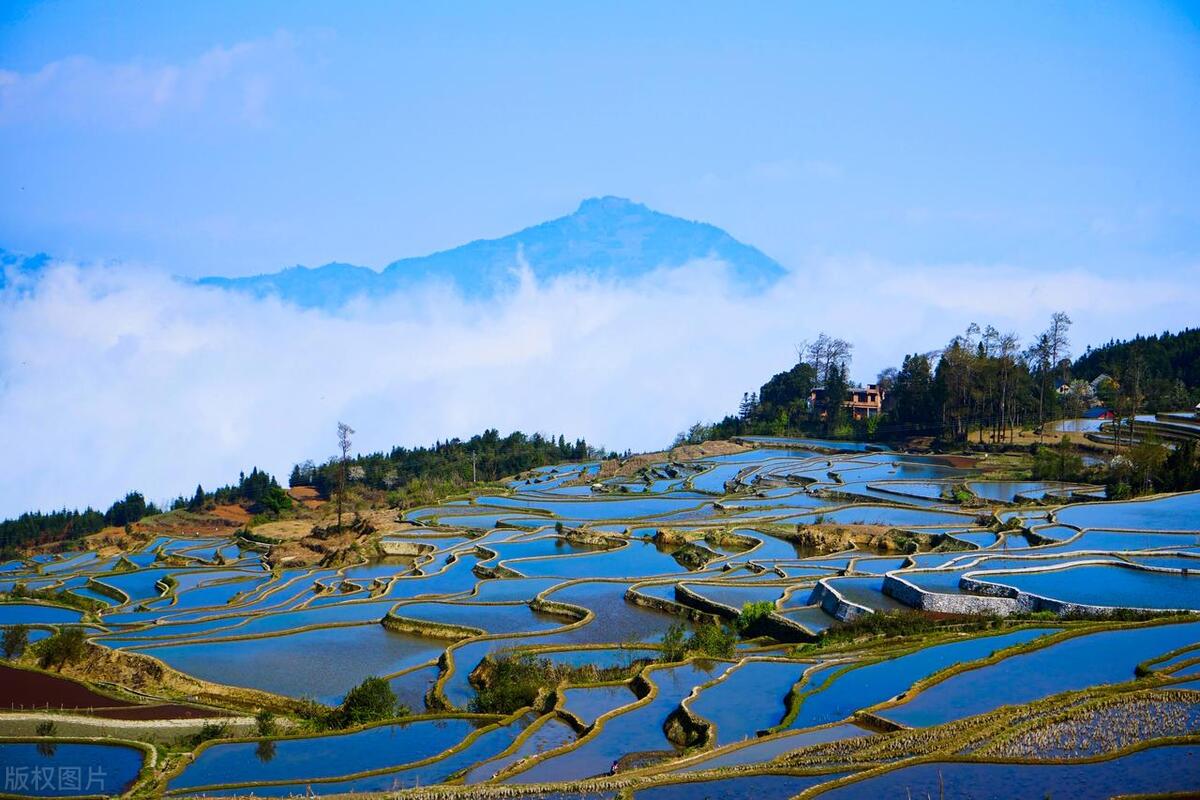 云南双人七天自由行还是定制游,云南昆明定制游攻略