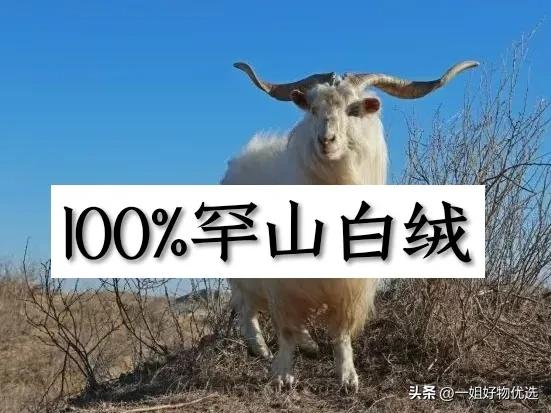 羊绒围巾什么牌子性价比高,小众羊绒围巾品牌推荐