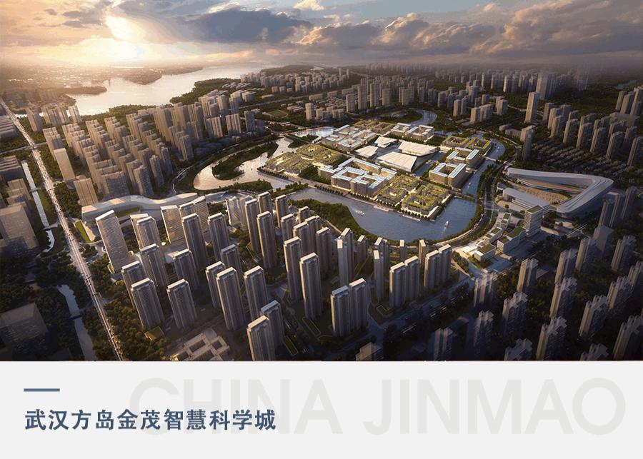 汉阳四新新城最新消息,汉阳四新商业