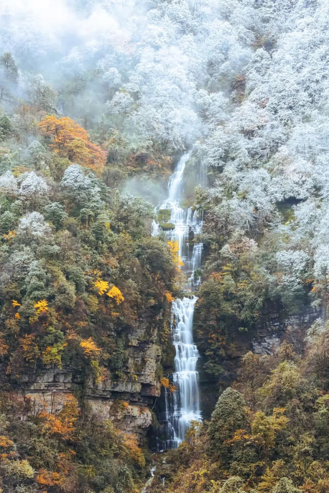 在四川遇见鞠婧祎,四川玩雪旅游推荐瓦屋山