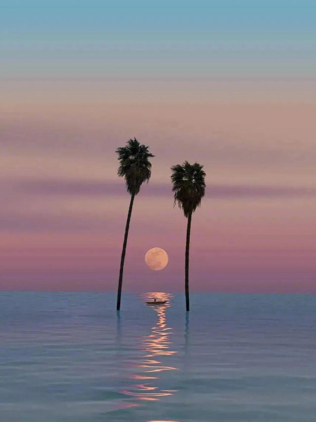 小众却又惊艳的句子,100句惊艳小众的句子