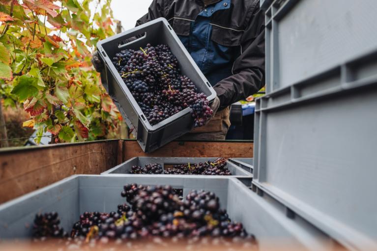 卢森堡生活风俗,卢森堡节日活动