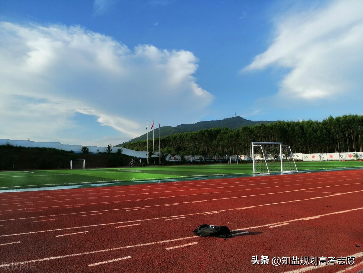 特殊类型招生指哪方面,清华大学体育特殊类型招生