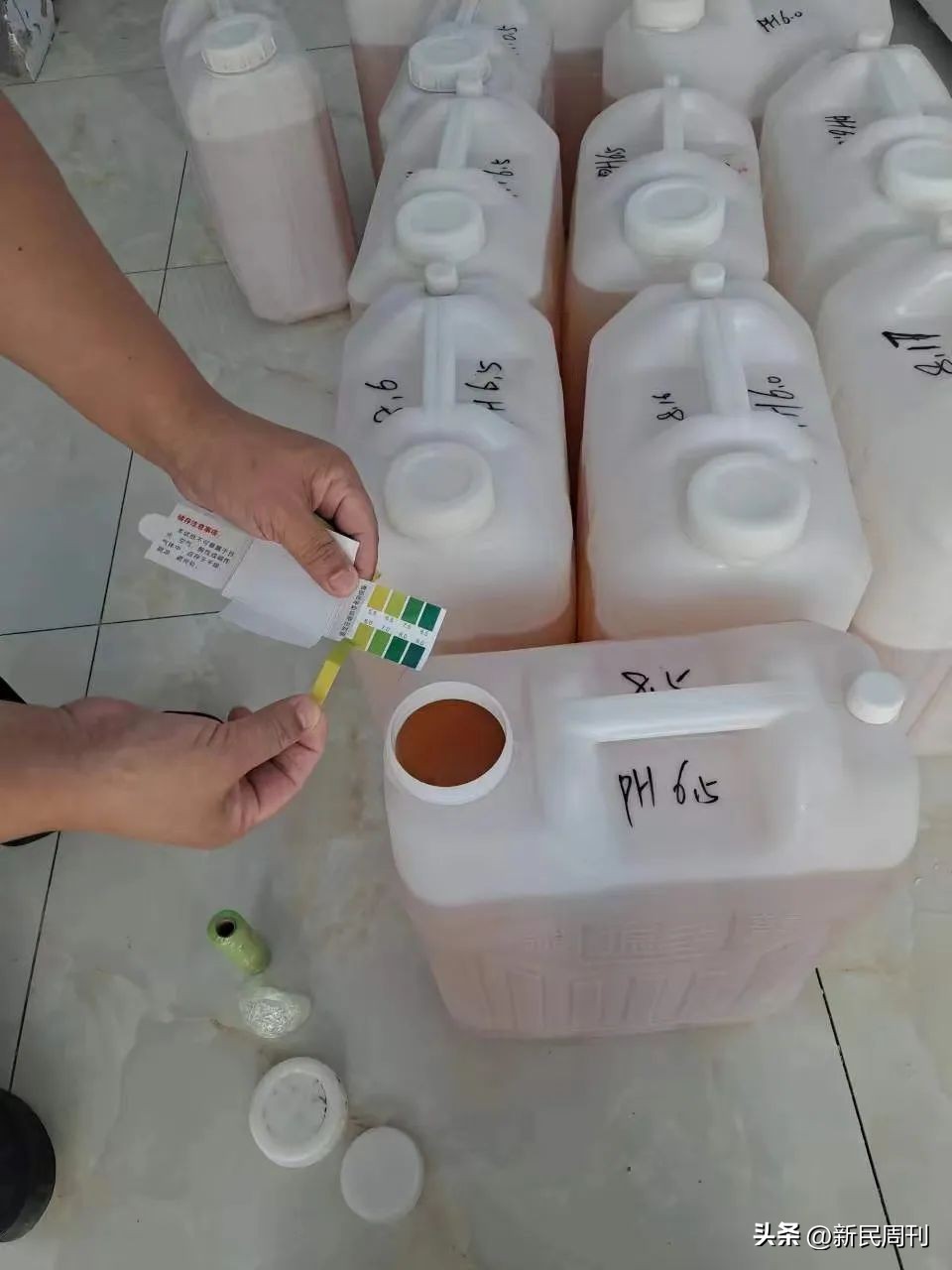 收集孕妇尿液骗局揭秘,收集孕妇尿液是用来干什么