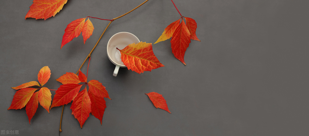 养胃的日子,养胃30天的真实经历