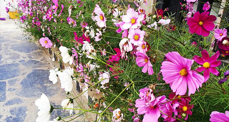 滇藏西自驾,西行滇藏自驾游