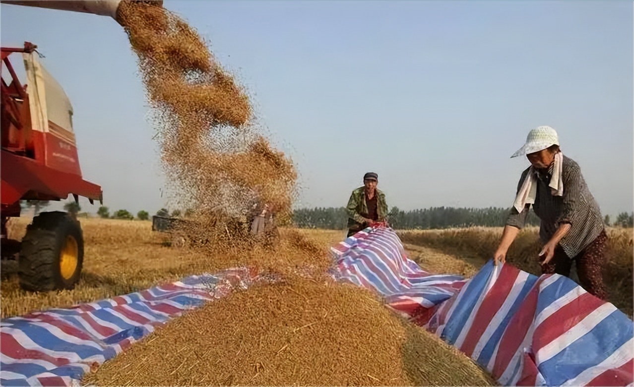 缇庡浗鍥涘ぇ绮晢鐨勭伯椋熸垬,涓編绮鎴樹腑鍌ㄧ伯vs鍥涘ぇ绮晢