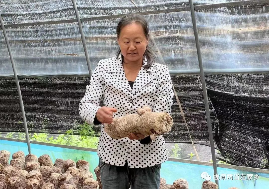 【妇女就业】在左家，有一种幸福叫“家门口”吃上“产业饭”